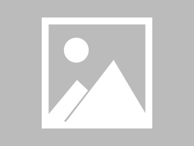 河南新闻传媒网官网，权威与专业的新闻传播者